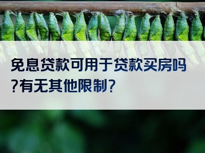 免息贷款可用于贷款买房吗？有无其他限制？