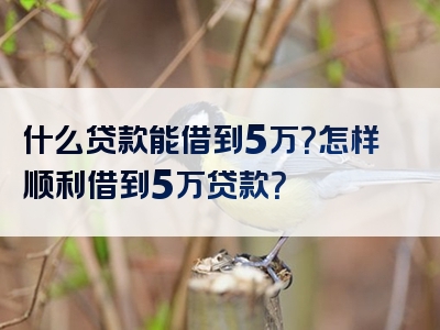 什么贷款能借到5万？怎样顺利借到5万贷款？