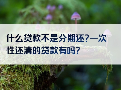 什么贷款不是分期还？一次性还清的贷款有吗？