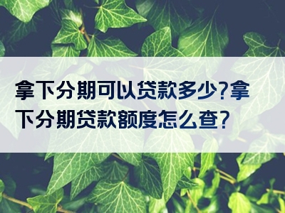 拿下分期可以贷款多少？拿下分期贷款额度怎么查？