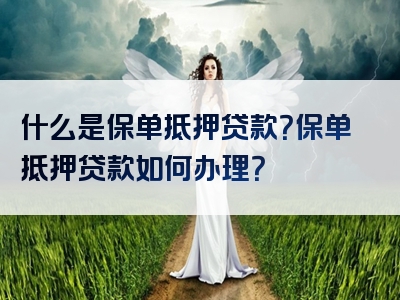 什么是保单抵押贷款？保单抵押贷款如何办理？