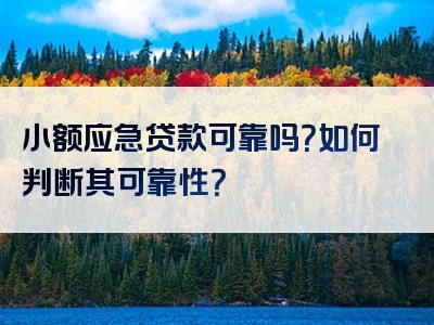 小额应急贷款可靠吗？如何判断其可靠性？