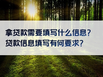 拿贷款需要填写什么信息？贷款信息填写有何要求？