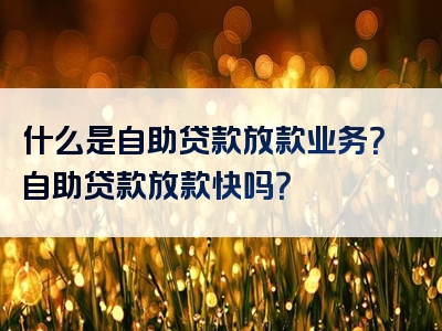 什么是自助贷款放款业务？自助贷款放款快吗？