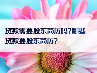 贷款需要股东简历吗？哪些贷款要股东简历？