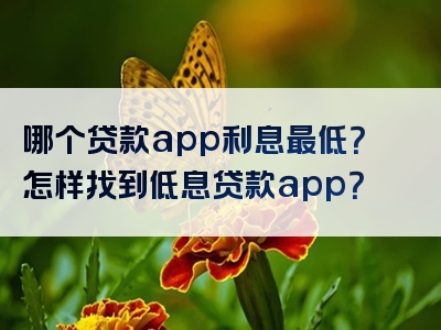 哪个贷款app利息最低？怎样找到低息贷款app？