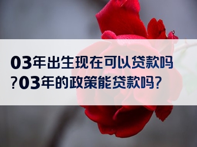 03年出生现在可以贷款吗？03年的政策能贷款吗？