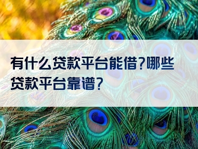 有什么贷款平台能借？哪些贷款平台靠谱？