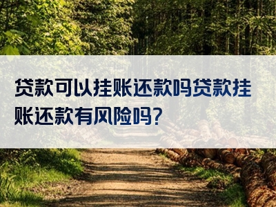 贷款可以挂账还款吗贷款挂账还款有风险吗？