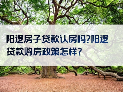 阳逻房子贷款认房吗？阳逻贷款购房政策怎样？