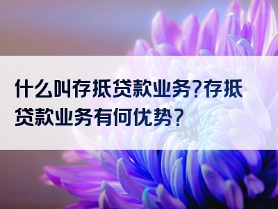 什么叫存抵贷款业务？存抵贷款业务有何优势？