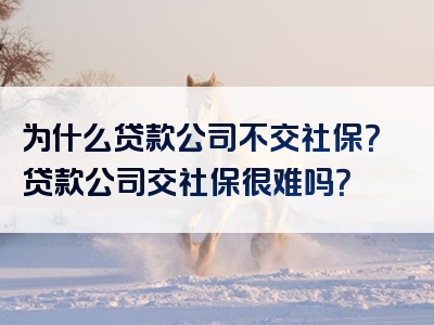 为什么贷款公司不交社保？贷款公司交社保很难吗？