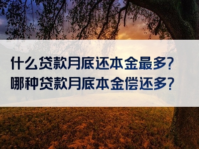 什么贷款月底还本金最多？哪种贷款月底本金偿还多？