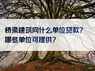 桥梁建筑向什么单位贷款？哪些单位可提供？