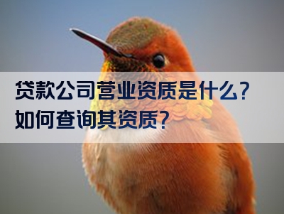 贷款公司营业资质是什么？如何查询其资质？