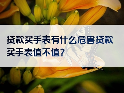 贷款买手表有什么危害贷款买手表值不值？