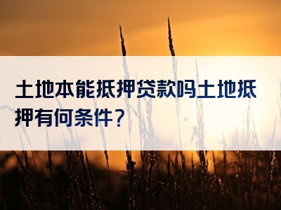 土地本能抵押贷款吗土地抵押有何条件？