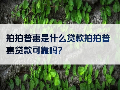 拍拍普惠是什么贷款拍拍普惠贷款可靠吗？