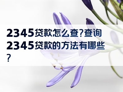 2345贷款怎么查？查询2345贷款的方法有哪些？