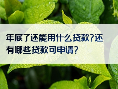 年底了还能用什么贷款？还有哪些贷款可申请？