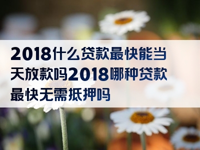 2018什么贷款最快能当天放款吗2018哪种贷款最快无需抵押吗