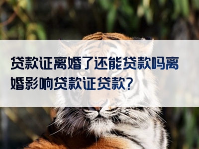 贷款证离婚了还能贷款吗离婚影响贷款证贷款？