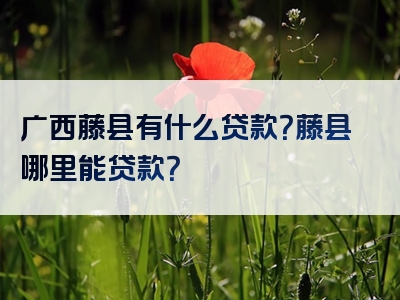 广西藤县有什么贷款？藤县哪里能贷款？