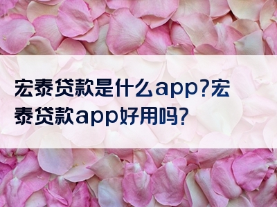 宏泰贷款是什么app？宏泰贷款app好用吗？