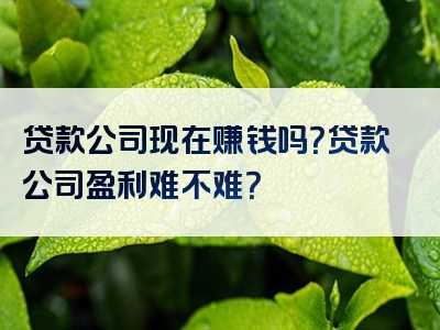 贷款公司现在赚钱吗？贷款公司盈利难不难？