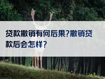 贷款撤销有何后果？撤销贷款后会怎样？