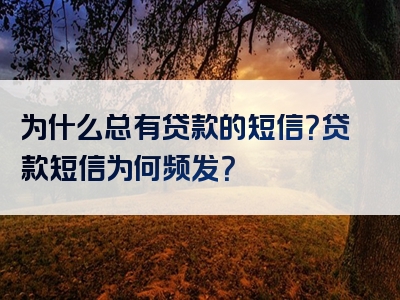 为什么总有贷款的短信？贷款短信为何频发？