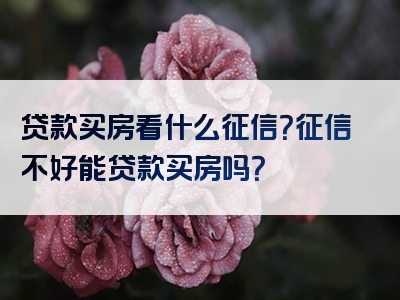 贷款买房看什么征信？征信不好能贷款买房吗？