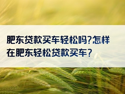 肥东贷款买车轻松吗？怎样在肥东轻松贷款买车？