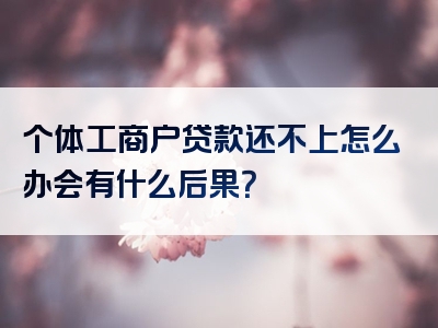 个体工商户贷款还不上怎么办会有什么后果？