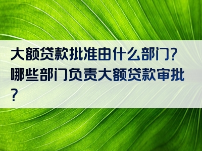 大额贷款批准由什么部门？哪些部门负责大额贷款审批？