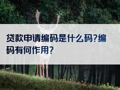 贷款申请编码是什么码？编码有何作用？