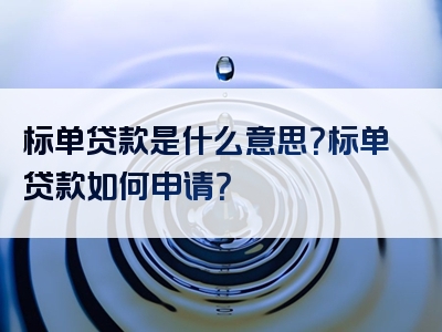 标单贷款是什么意思？标单贷款如何申请？