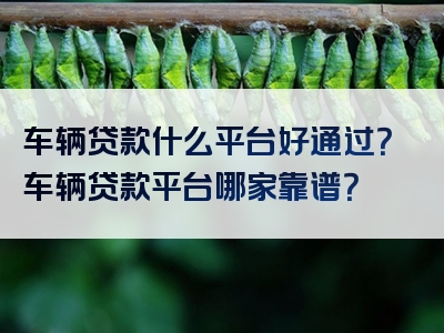 车辆贷款什么平台好通过？车辆贷款平台哪家靠谱？