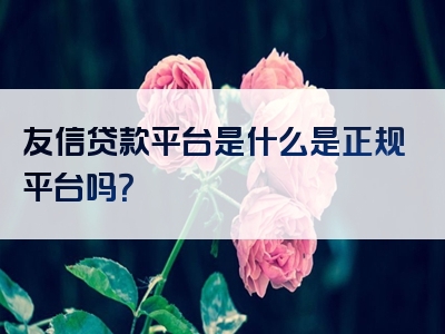 友信贷款平台是什么是正规平台吗？