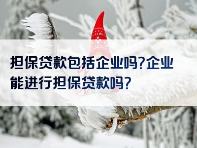 担保贷款包括企业吗？企业能进行担保贷款吗？