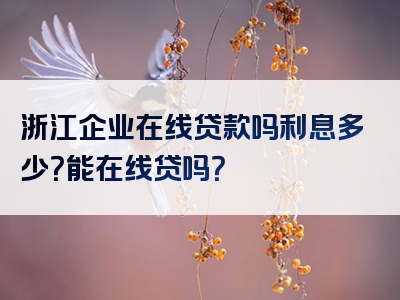 浙江企业在线贷款吗利息多少？能在线贷吗？