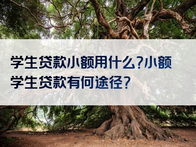 学生贷款小额用什么？小额学生贷款有何途径？