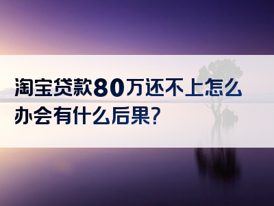 淘宝贷款80万还不上怎么办会有什么后果？