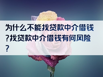 为什么不能找贷款中介借钱？找贷款中介借钱有何风险？