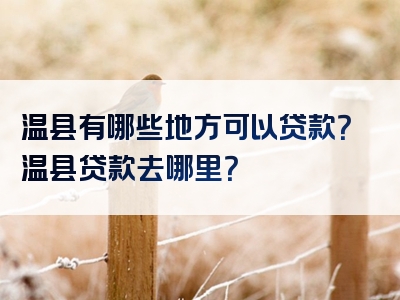 温县有哪些地方可以贷款？温县贷款去哪里？