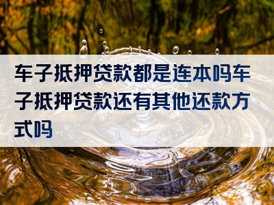 车子抵押贷款都是连本吗车子抵押贷款还有其他还款方式吗