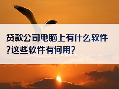 贷款公司电脑上有什么软件？这些软件有何用？