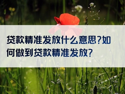 贷款精准发放什么意思？如何做到贷款精准发放？