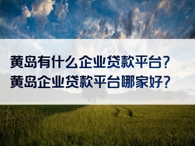 黄岛有什么企业贷款平台？黄岛企业贷款平台哪家好？