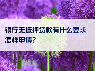 银行无抵押贷款有什么要求怎样申请？